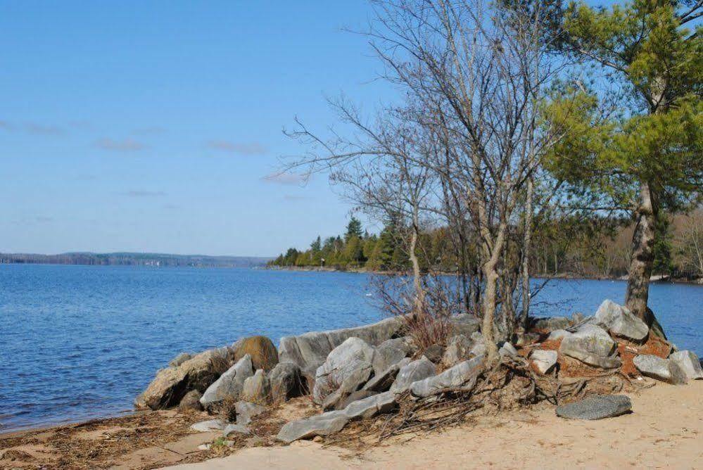 Pine Lodge Бристол Экстерьер фото